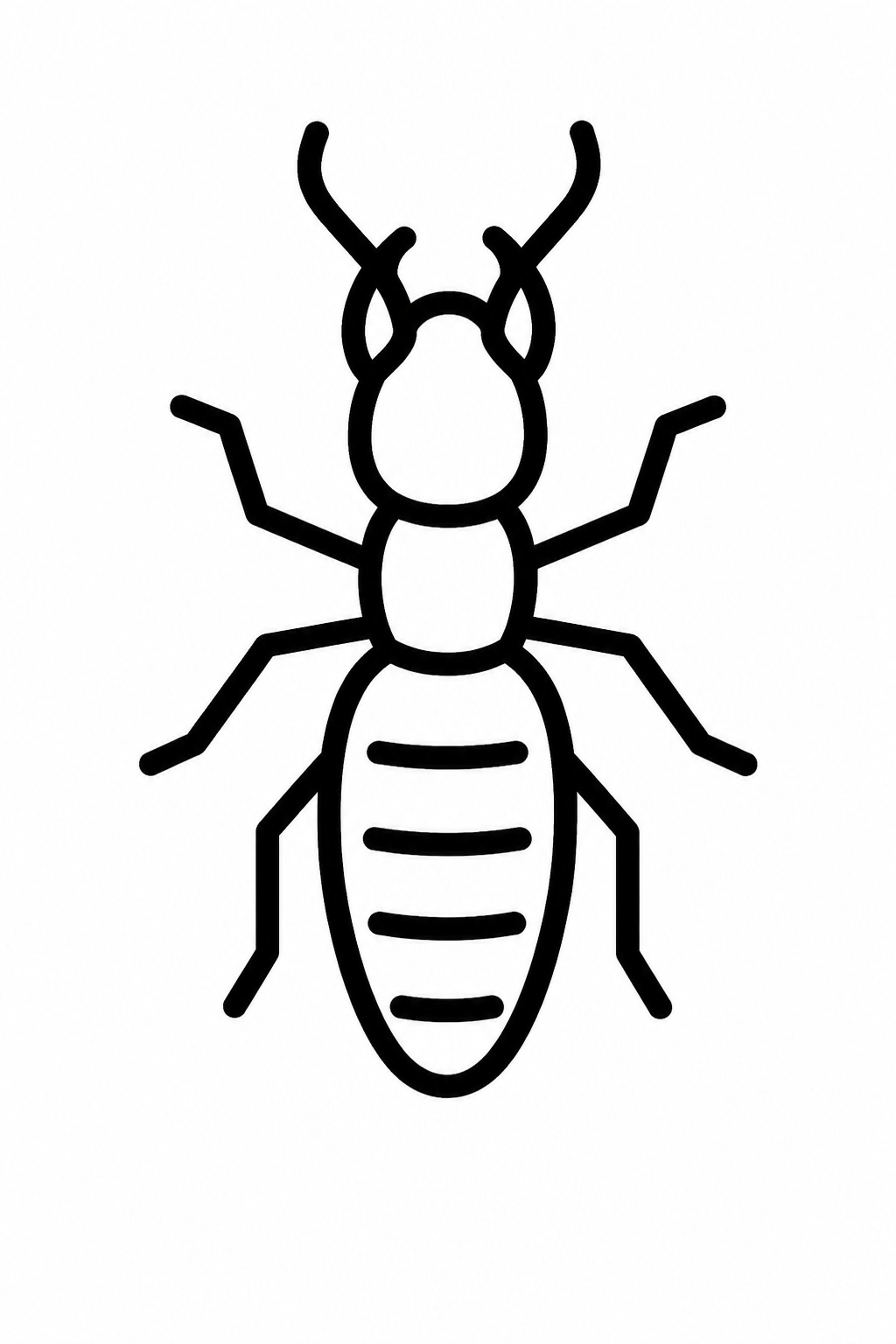 Ants