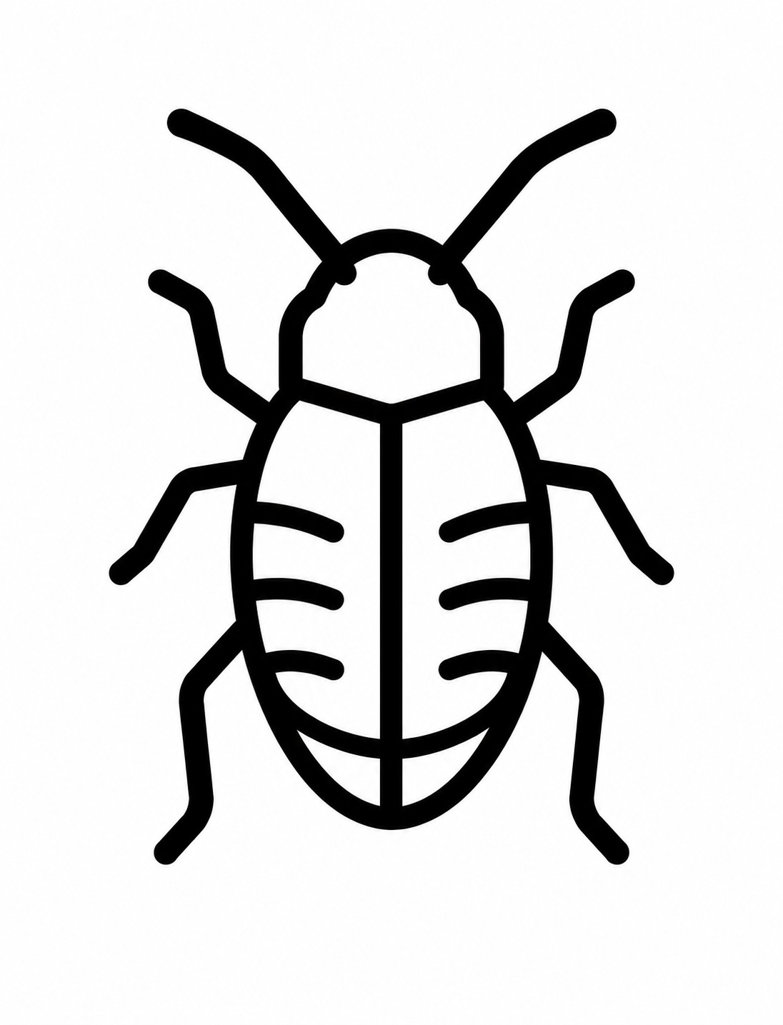 Bed Bugs