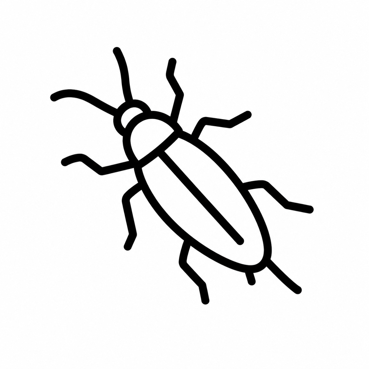 Cockroaches