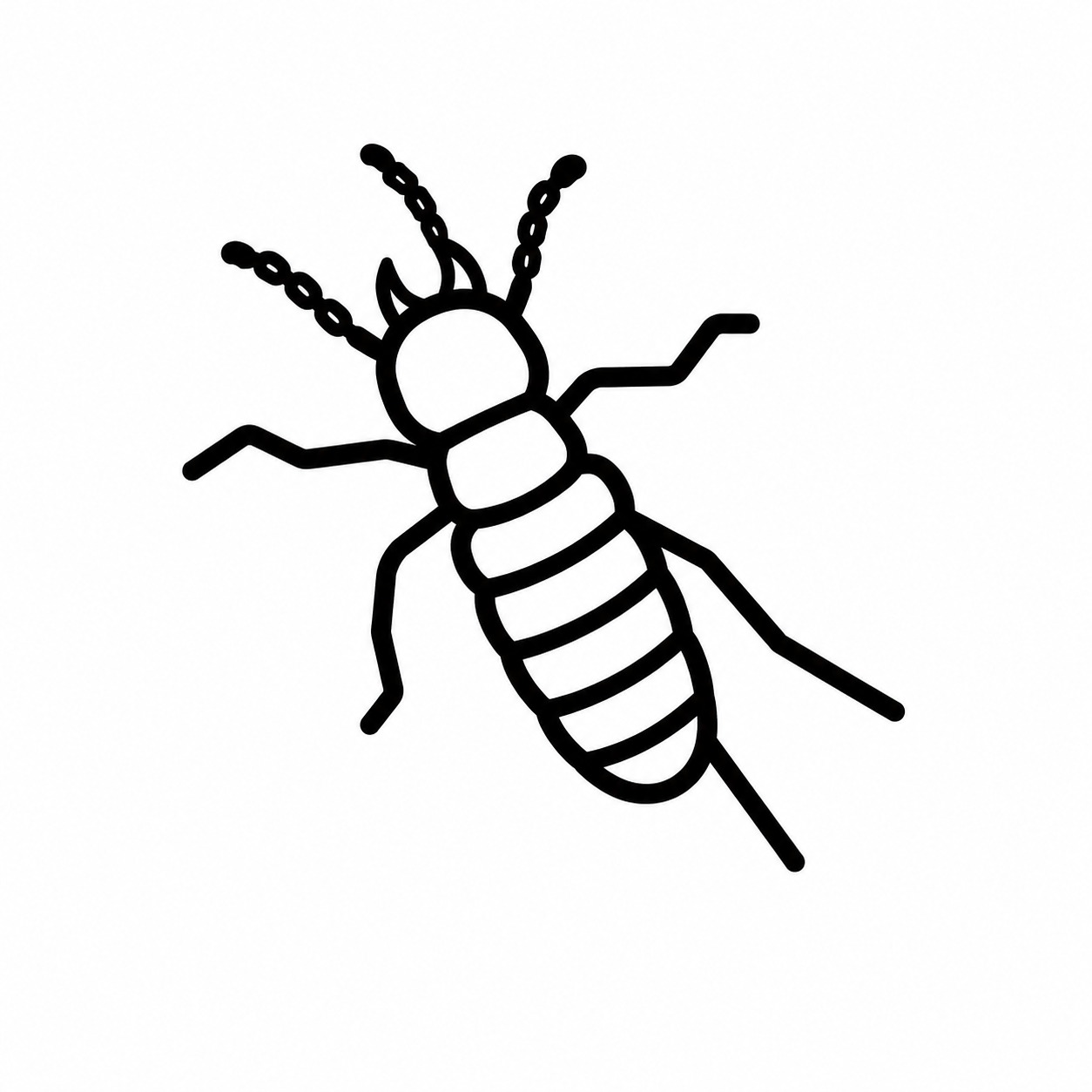 Earwigs