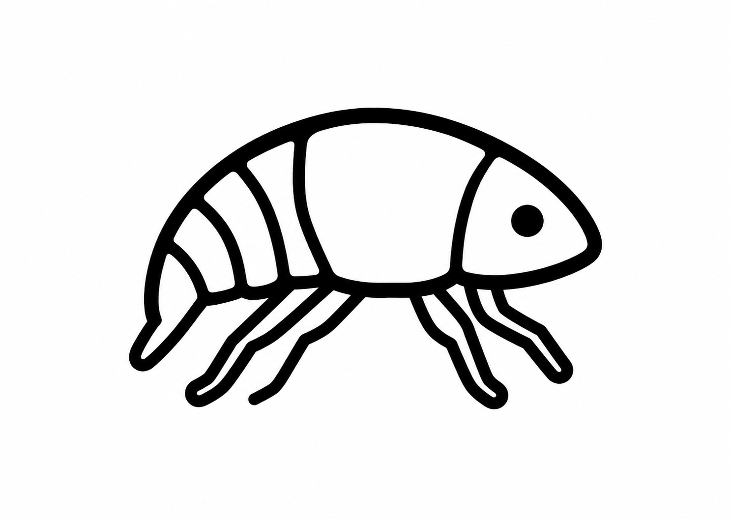 Fleas