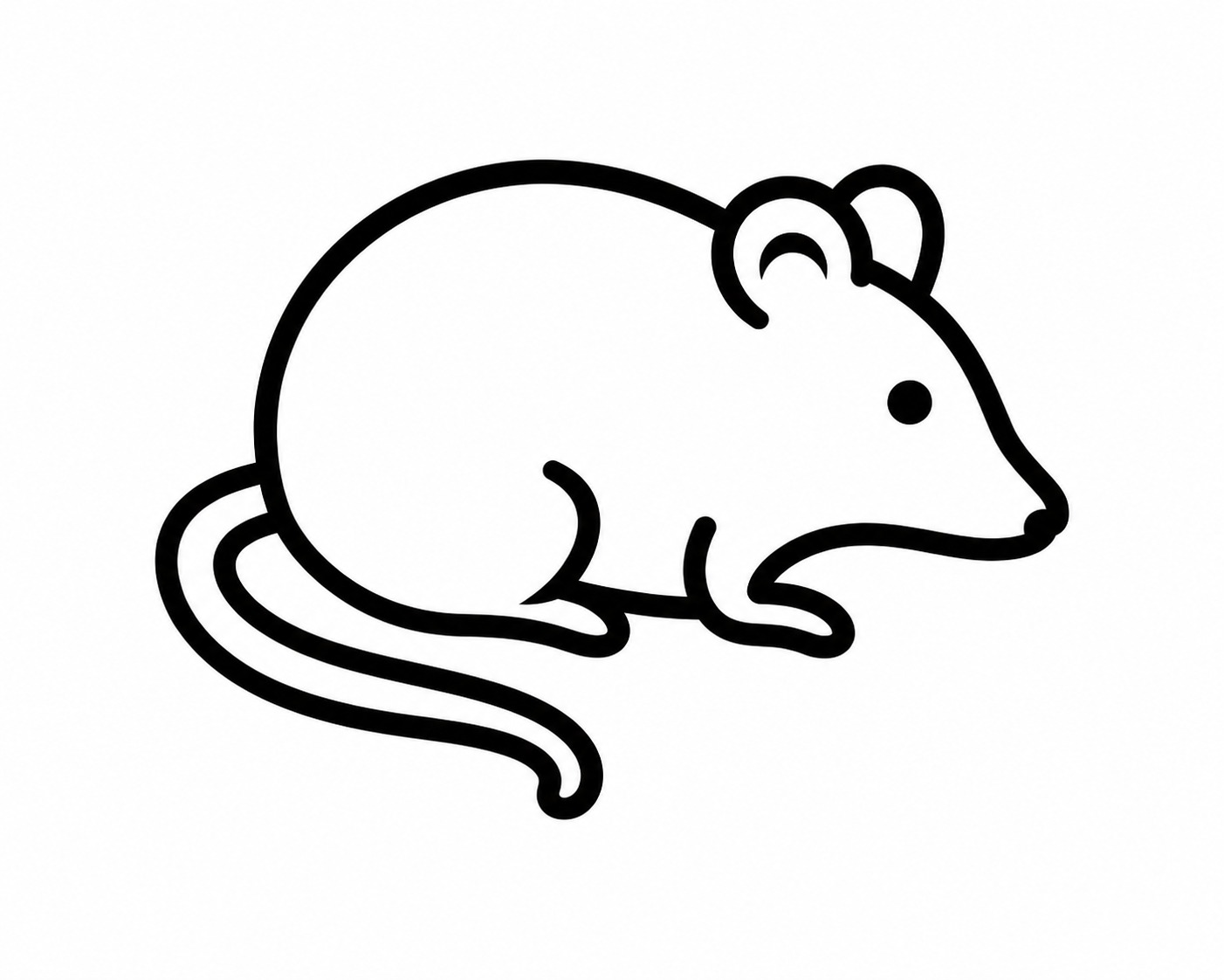 Rats / Mice