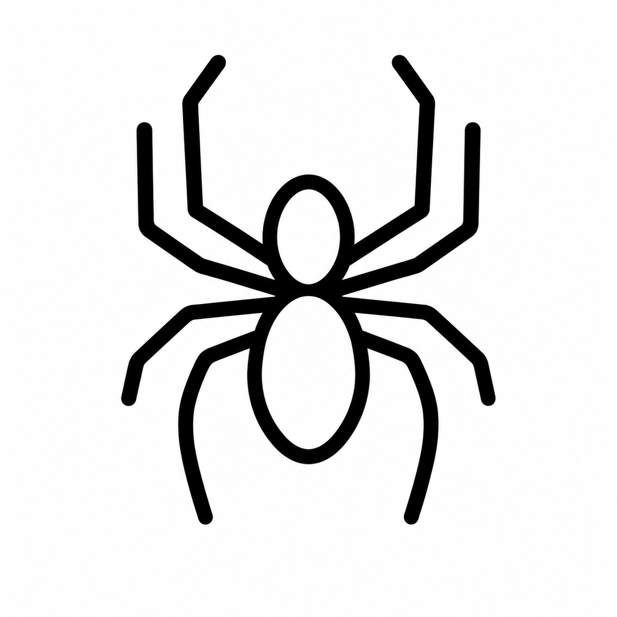 Spiders