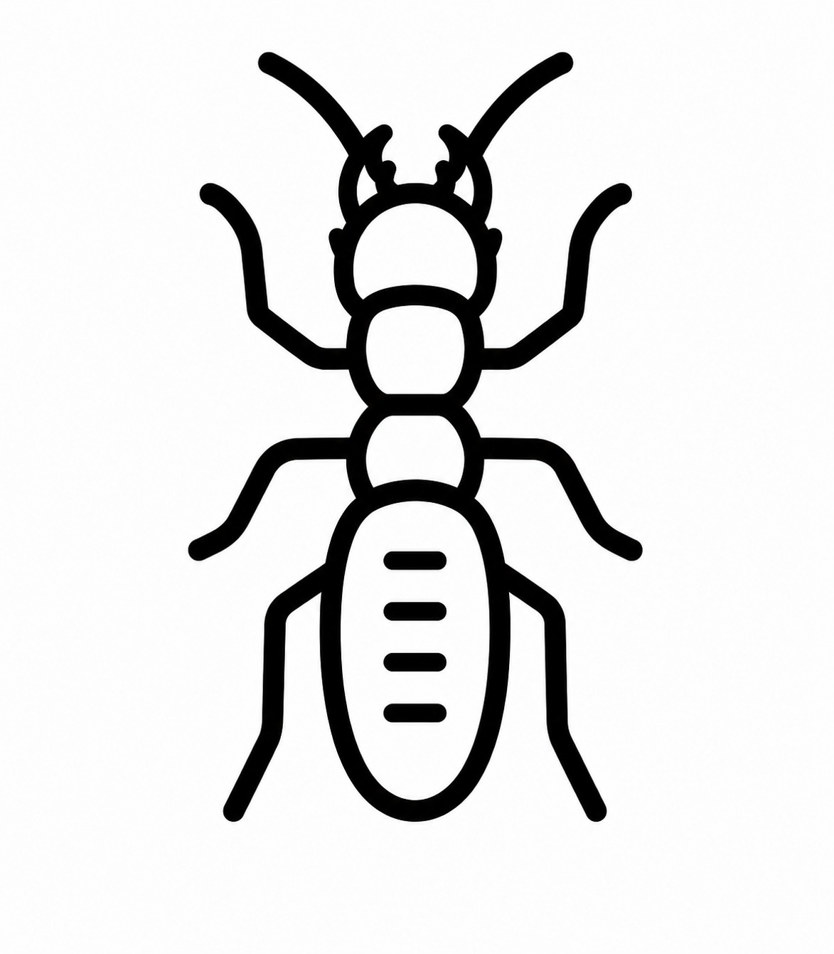 Termites