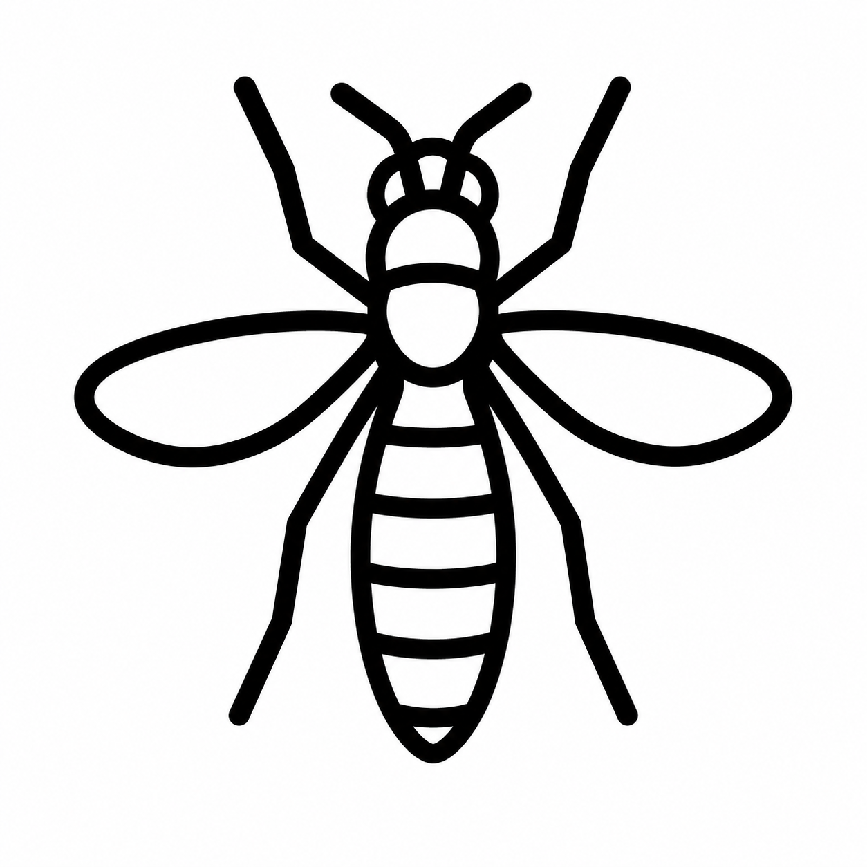 Wasps